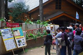 阿里山上，一群群大陆观光游客围看真相展板