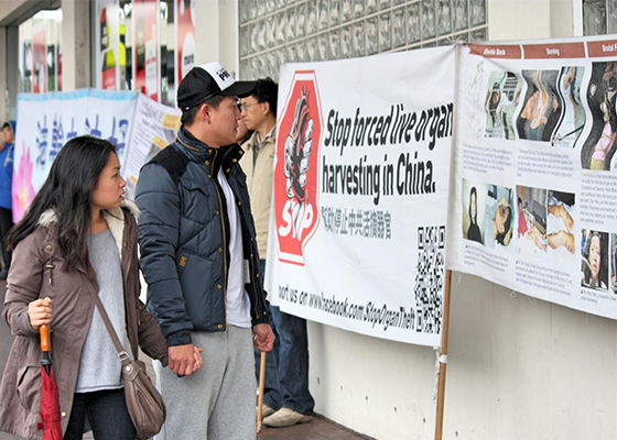 Image for article Sydney, Australia: Locals Support Those Persecuted in China Through “Great Wall of Truth”